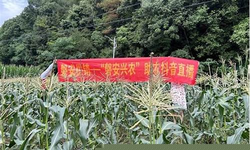 玉米期货上市直播(玉米期货开市时间)_https://www.tuogunzhijia.com_道指期货_第1张