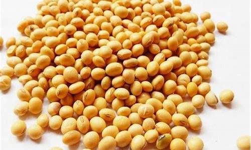 豆类期货直播视频(豆类期货直播视频下载)_https://www.tuogunzhijia.com_黄金期货_第1张