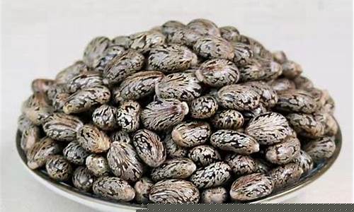 蓖麻子期货行情网站(蓖麻子价格行情)_https://www.tuogunzhijia.com_道指期货_第1张