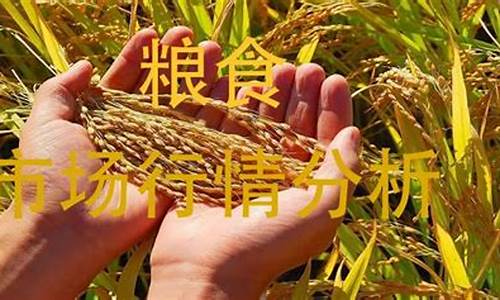 粮食期货行情查询(粮食期货市场行情)_https://www.tuogunzhijia.com_原油期货_第1张