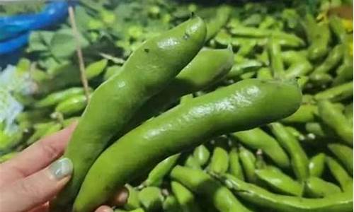 蚕豆期货价格最新行情(期货钼价格最新行情)_https://www.tuogunzhijia.com_黄金期货_第1张