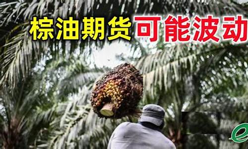 棕油期货最新行情预涨(棕榈油期货最新行情分析)_https://www.tuogunzhijia.com_黄金期货_第1张