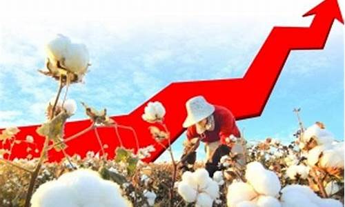 棉花期货交易直播视频回放(棉花期货交易直播视频回放在哪看)_https://www.tuogunzhijia.com_原油期货_第1张