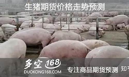 生猪期货2305合约行情(生猪期货2305合约行情最新)_https://www.tuogunzhijia.com_黄金期货_第1张