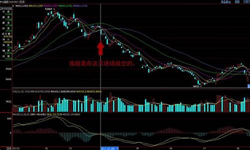 顿悟期货交易经验(期货交易理念顿悟)_https://www.tuogunzhijia.com_黄金期货_第1张