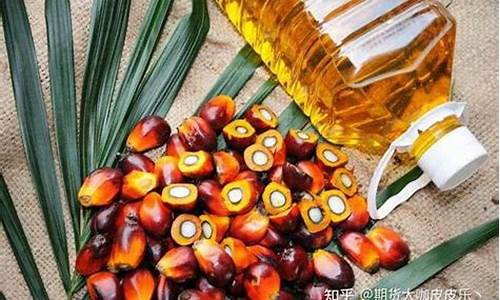 棕榈油期货怎样看行情分析(棕榈油期货怎样看行情分析表)_https://www.tuogunzhijia.com_道指期货_第1张