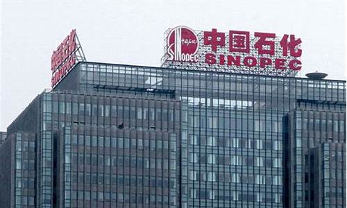 石化公司期货交易中心(石化产品期货)_https://www.tuogunzhijia.com_内盘期货_第1张