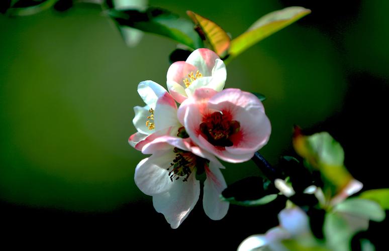 期货交易经验积累(期货经验分享)_https://www.tuogunzhijia.com_黄金期货_第1张