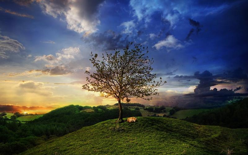 期货期权最新行情(期货期权交易平台)_https://www.tuogunzhijia.com_黄金期货_第1张