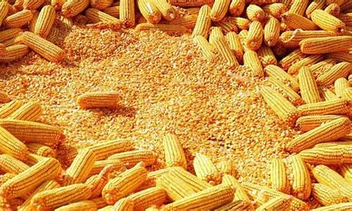 期货玉米行情怎么看(期货怎么看去年的行情)_https://www.tuogunzhijia.com_恒指期货_第1张