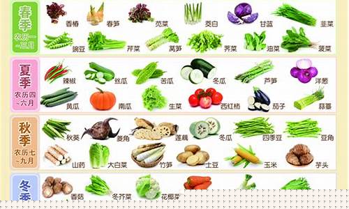 现在季节种什么蔬菜最好(现在是种什么蔬菜的季节)_https://www.tuogunzhijia.com_道指期货_第1张
