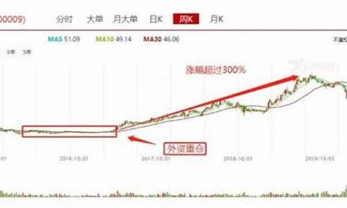 股票白马蓝筹是什么意思(在股票中蓝筹、白马股是怎么区分)_https://www.tuogunzhijia.com_道指期货_第1张