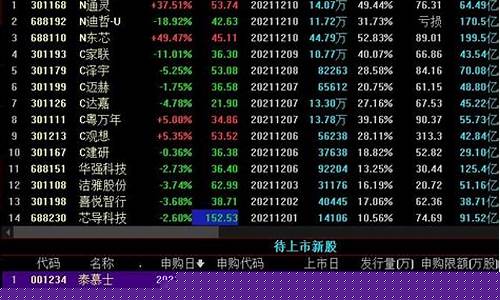 新股一般都会涨吗(打新股100%中签的方法)_https://www.tuogunzhijia.com_道指期货_第1张