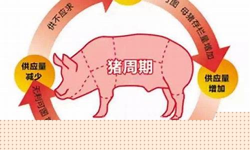猪周期还有多久(猪周期现在处在什么阶段)_https://www.tuogunzhijia.com_内盘期货_第1张
