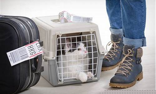 航空托运宠物(航空托运宠物大概多少钱)_https://www.tuogunzhijia.com_道指期货_第1张