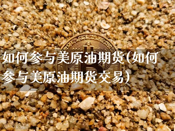 如何参与美原油期货(如何参与美原油期货交易)_https://www.tuogunzhijia.com_原油期货_第1张