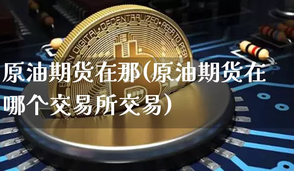 原油期货在那(原油期货在哪个交易所交易)_https://www.tuogunzhijia.com_道指期货_第1张