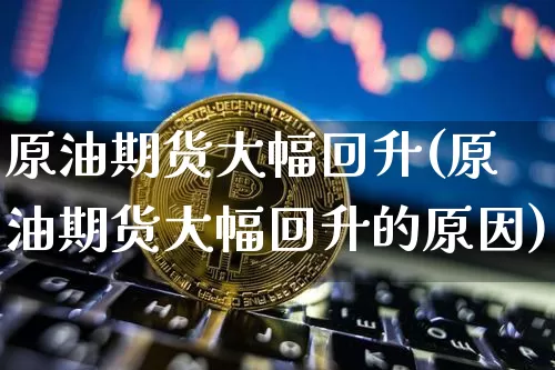 原油期货大幅回升(原油期货大幅回升的原因)_https://www.tuogunzhijia.com_纳指期货_第1张