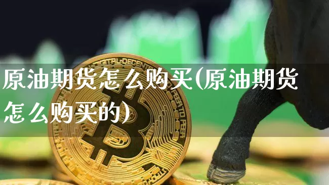 原油期货怎么购买(原油期货怎么购买的)_https://www.tuogunzhijia.com_黄金期货_第1张