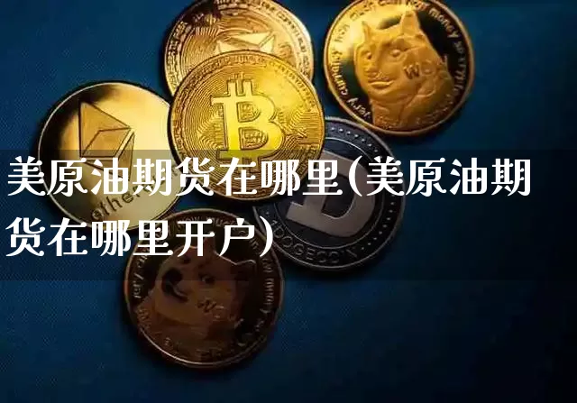 美原油期货在哪里(美原油期货在哪里开户)_https://www.tuogunzhijia.com_恒指期货_第1张