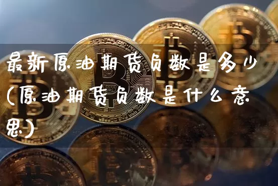 最新原油期货负数是多少(原油期货负数是什么意思)_https://www.tuogunzhijia.com_内盘期货_第1张