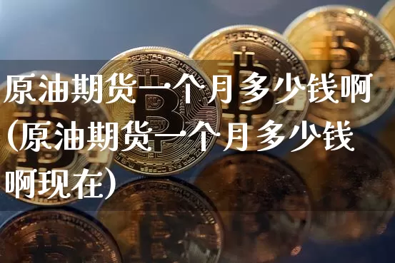 原油期货一个月多少钱啊(原油期货一个月多少钱啊现在)_https://www.tuogunzhijia.com_道指期货_第1张