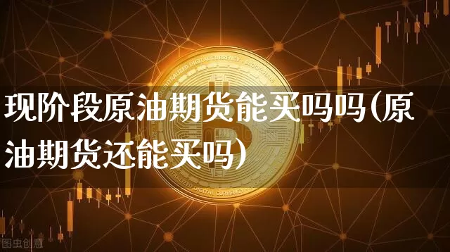 现阶段原油期货能买吗吗(原油期货还能买吗)_https://www.tuogunzhijia.com_国际期货_第1张