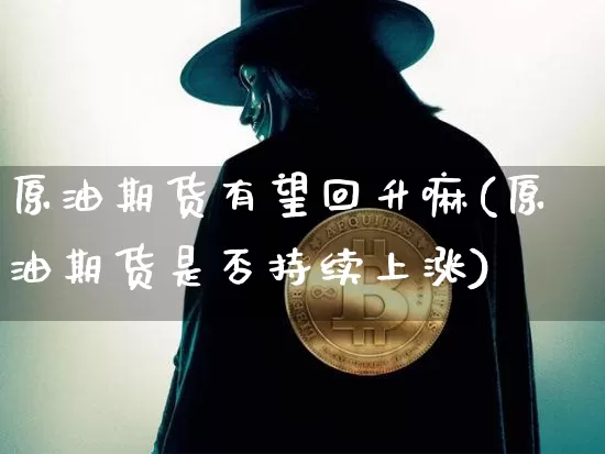 原油期货有望回升嘛(原油期货是否持续上涨)_https://www.tuogunzhijia.com_原油期货_第1张
