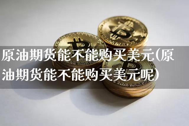 原油期货能不能购买美元(原油期货能不能购买美元呢)_https://www.tuogunzhijia.com_原油期货_第1张