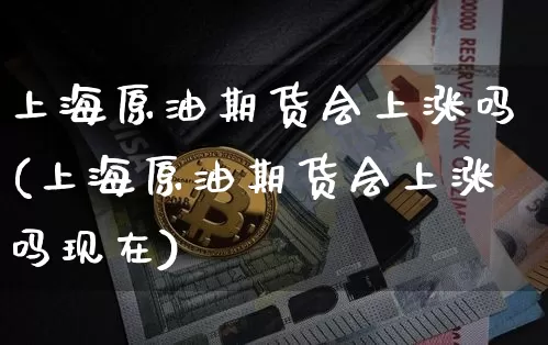 上海原油期货会上涨吗(上海原油期货会上涨吗现在)_https://www.tuogunzhijia.com_国际期货_第1张