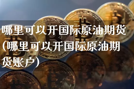 哪里可以开国际原油期货(哪里可以开国际原油期货账户)_https://www.tuogunzhijia.com_国际期货_第1张