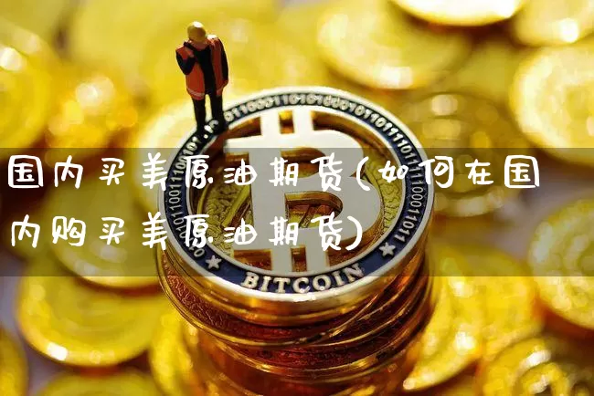 国内买美原油期货(如何在国内购买美原油期货)_https://www.tuogunzhijia.com_国际期货_第1张