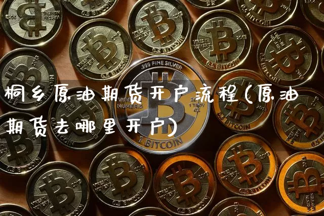 桐乡原油期货开户流程(原油期货去哪里开户)_https://www.tuogunzhijia.com_国际期货_第1张