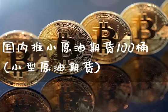国内推小原油期货100桶(小型原油期货)_https://www.tuogunzhijia.com_纳指期货_第1张