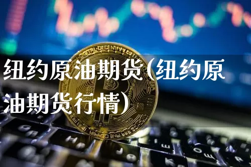 纽约原油期货(纽约原油期货行情)_https://www.tuogunzhijia.com_恒指期货_第1张