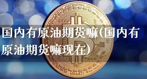 国内有原油期货嘛(国内有原油期货嘛现在)_https://www.tuogunzhijia.com_道指期货_第1张