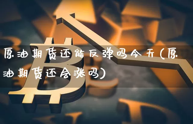 原油期货还能反弹吗今天(原油期货还会涨吗)_https://www.tuogunzhijia.com_纳指期货_第1张