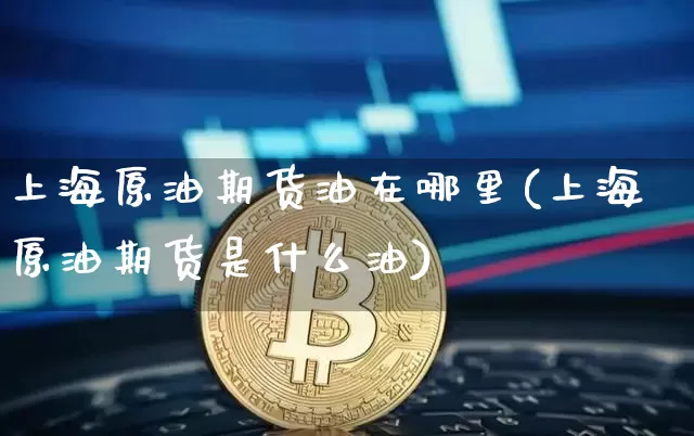 上海原油期货油在哪里(上海原油期货是什么油)_https://www.tuogunzhijia.com_原油期货_第1张
