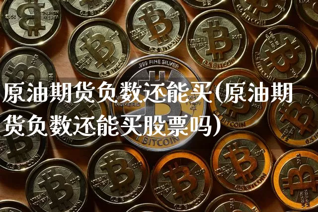 原油期货负数还能买(原油期货负数还能买股票吗)_https://www.tuogunzhijia.com_原油期货_第1张
