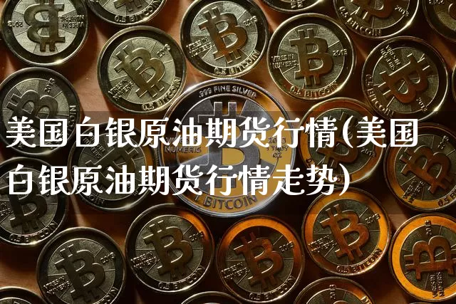 美国白银原油期货行情(美国白银原油期货行情走势)_https://www.tuogunzhijia.com_恒指期货_第1张