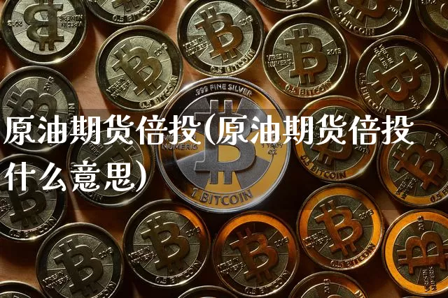 原油期货倍投(原油期货倍投什么意思)_https://www.tuogunzhijia.com_道指期货_第1张