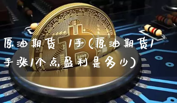 原油期货  1手(原油期货1手涨1个点盈利是多少)_https://www.tuogunzhijia.com_黄金期货_第1张