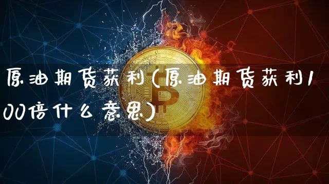 原油期货获利(原油期货获利100倍什么意思)_https://www.tuogunzhijia.com_国际期货_第1张