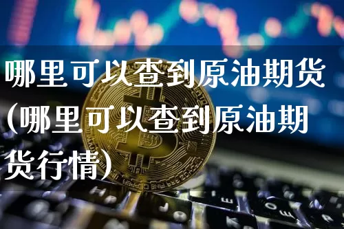 哪里可以查到原油期货(哪里可以查到原油期货行情)_https://www.tuogunzhijia.com_道指期货_第1张