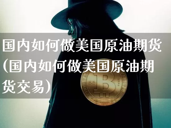 国内如何做美国原油期货(国内如何做美国原油期货交易)_https://www.tuogunzhijia.com_内盘期货_第1张