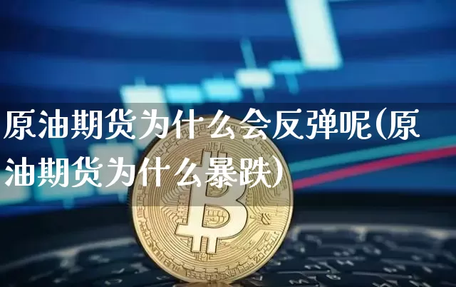 原油期货为什么会反弹呢(原油期货为什么暴跌)_https://www.tuogunzhijia.com_原油期货_第1张