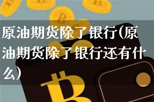 原油期货除了银行(原油期货除了银行还有什么)_https://www.tuogunzhijia.com_恒指期货_第1张
