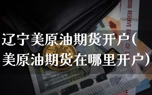 辽宁美原油期货开户(美原油期货在哪里开户)_https://www.tuogunzhijia.com_国际期货_第1张