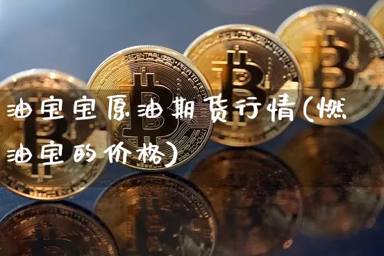 油宝宝原油期货行情(燃油宝的价格)_https://www.tuogunzhijia.com_恒指期货_第1张