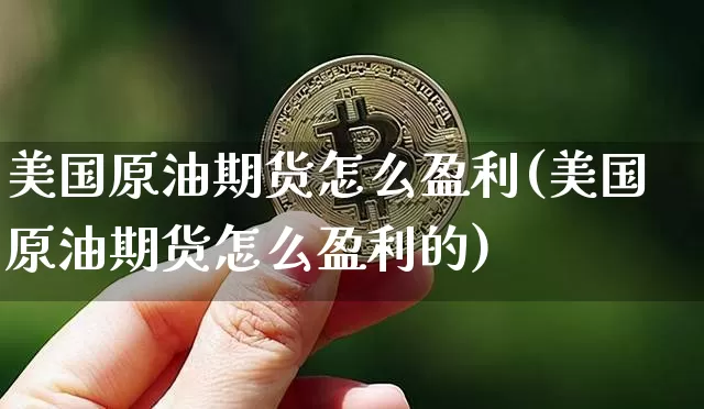 美国原油期货怎么盈利(美国原油期货怎么盈利的)_https://www.tuogunzhijia.com_纳指期货_第1张